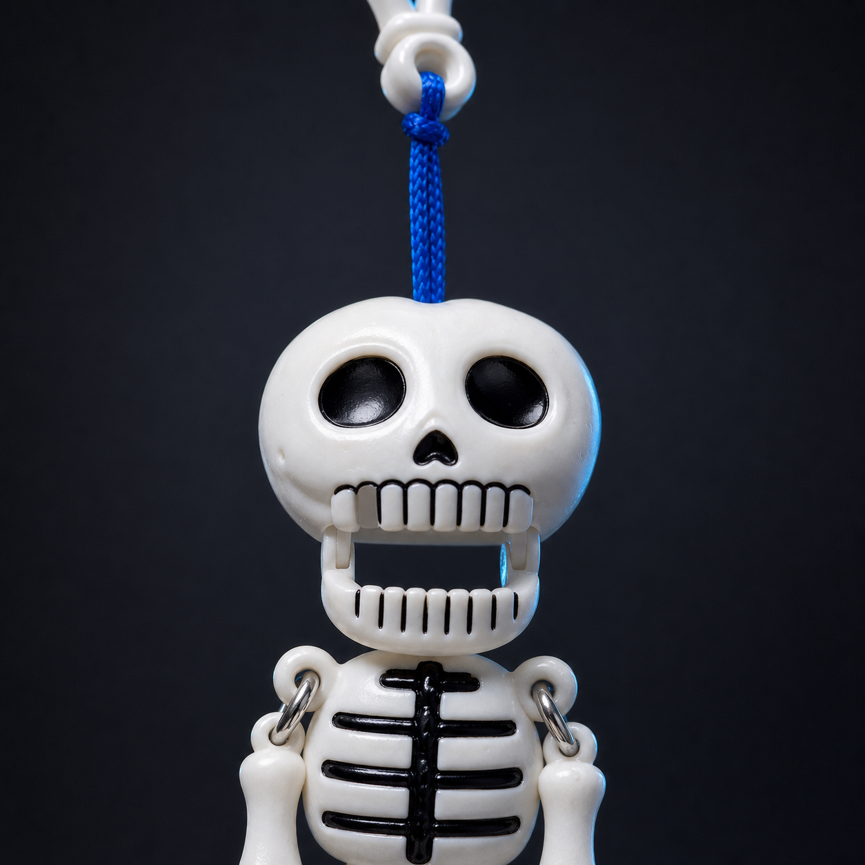 Close view of the Mr. Bones attachment loop