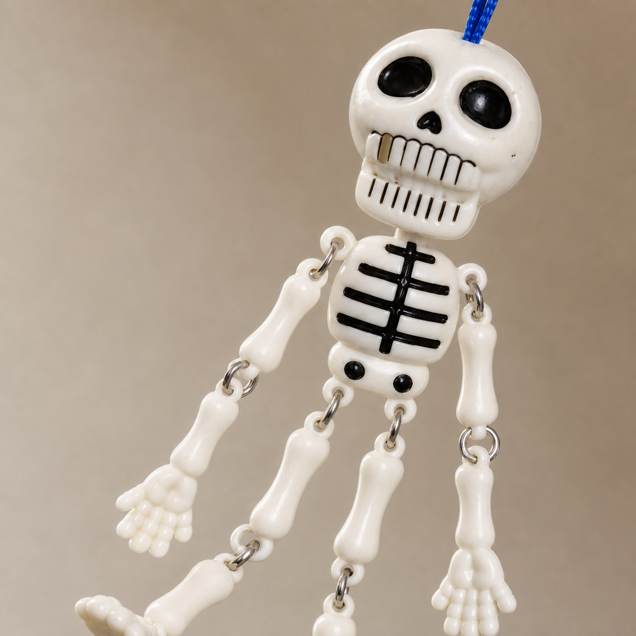 Mr. Bones shown in an adult hand for context